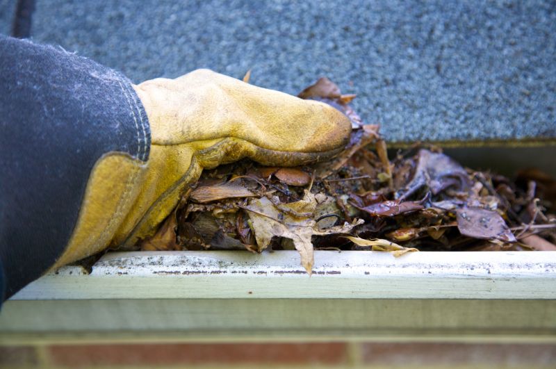 Clogged Gutter Clearing in Pittsburgh, PA