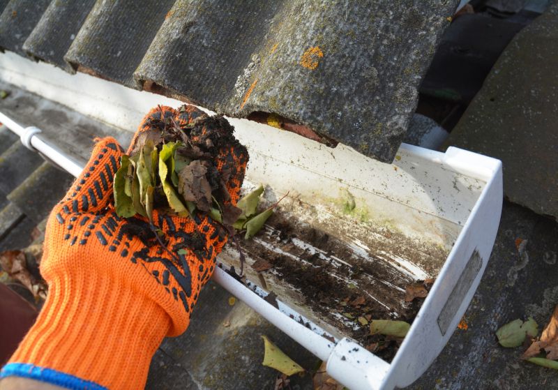 Clogged Gutter Clearing in Richmond, VA