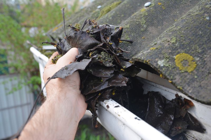 Clogged Gutter Clearing in Annapolis, MD