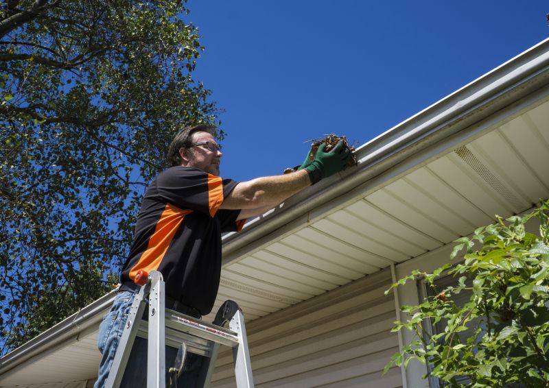 Eavestrough Clearing in Richmond, VA