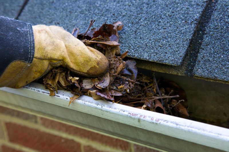 Gutter Blockage Removal in Frederick, MD
