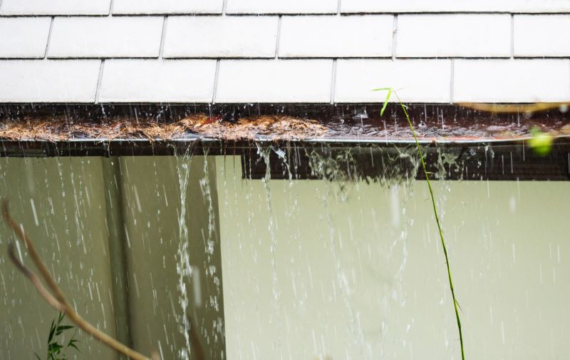 Gutter Blockage Removal in Fredericksburg, VA