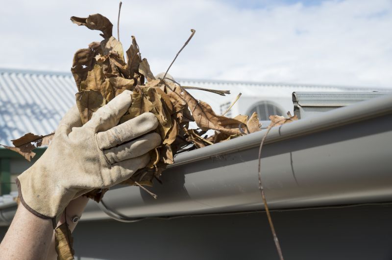 Gutter Leaf Clearing in Longmont, CO