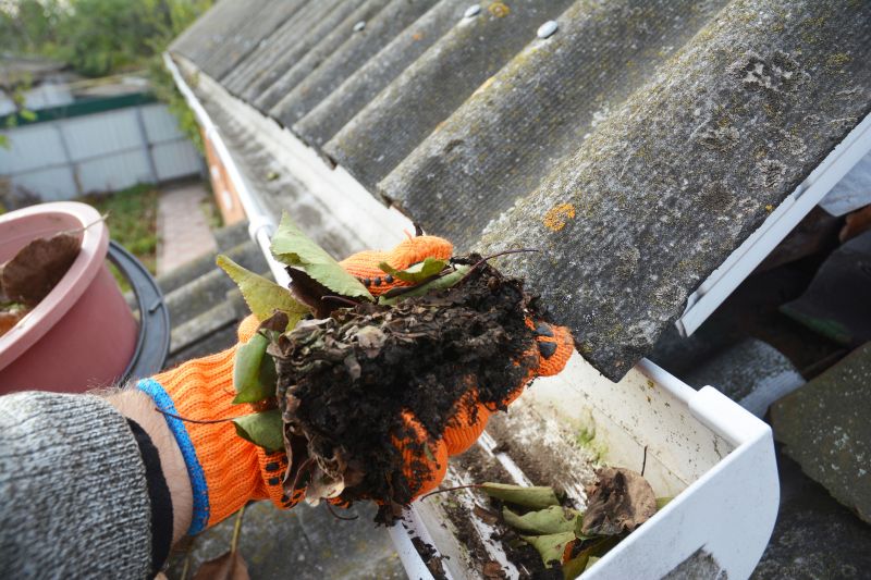 Gutter Leaf Clearing in Long Island, NY