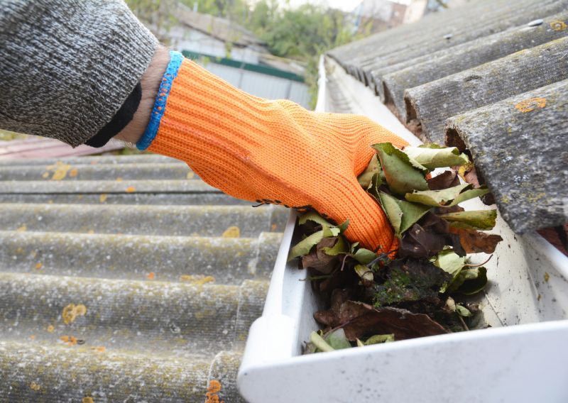Gutter Leaf Clearing in Monmouth County, NJ