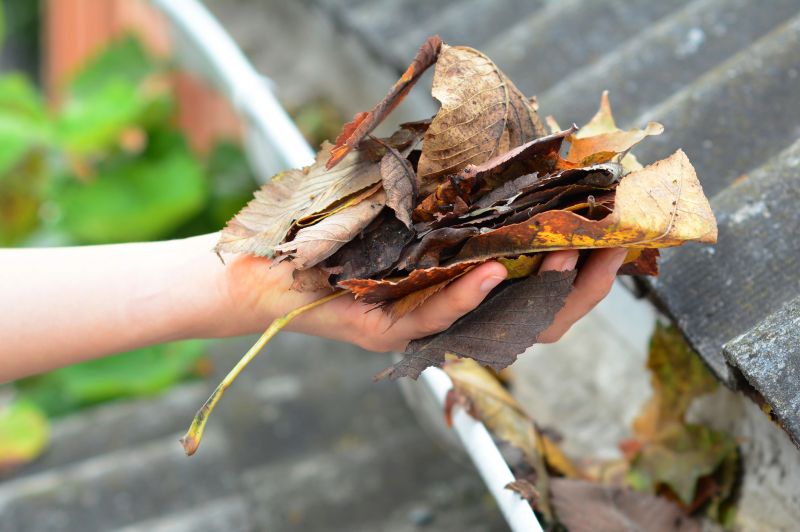 Gutter Leaves Removal in Baltimore, MD