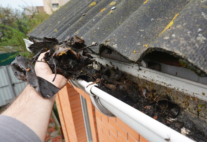 Gutter Leaves Removal in Baltimore, MD