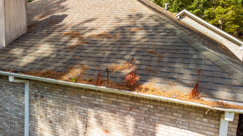 Gutter Pine Needle Removal in Baltimore, MD