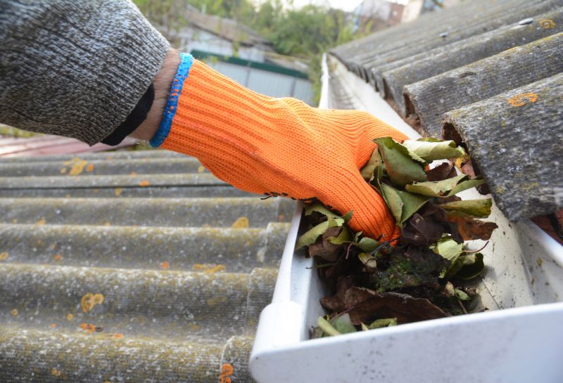 Gutter Pine Needle Removal in Morris County, NJ