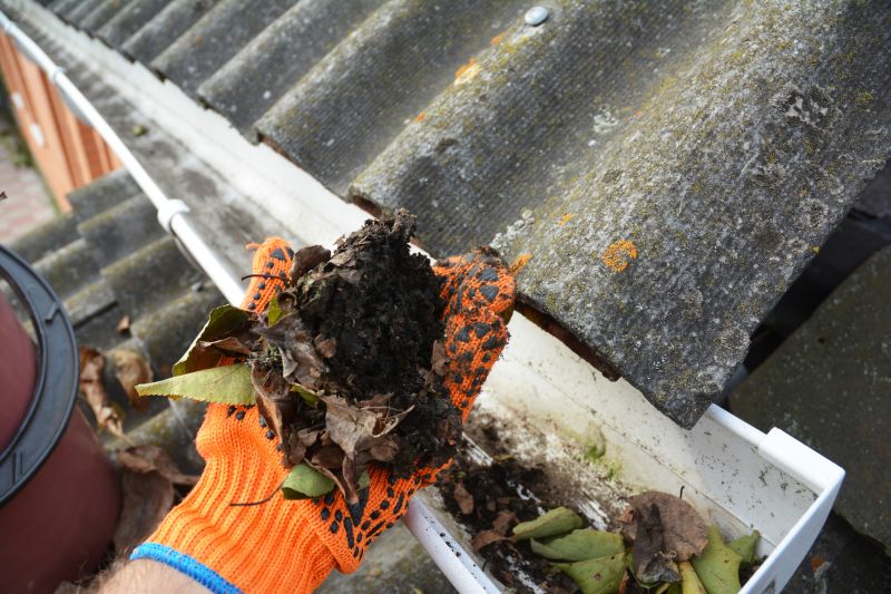 Gutter Pine Needle Removal in Boulder, CO