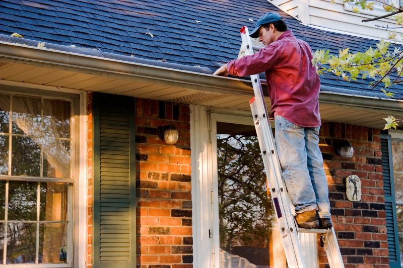 Roof Gutter Cleaning in Monmouth County, NJ